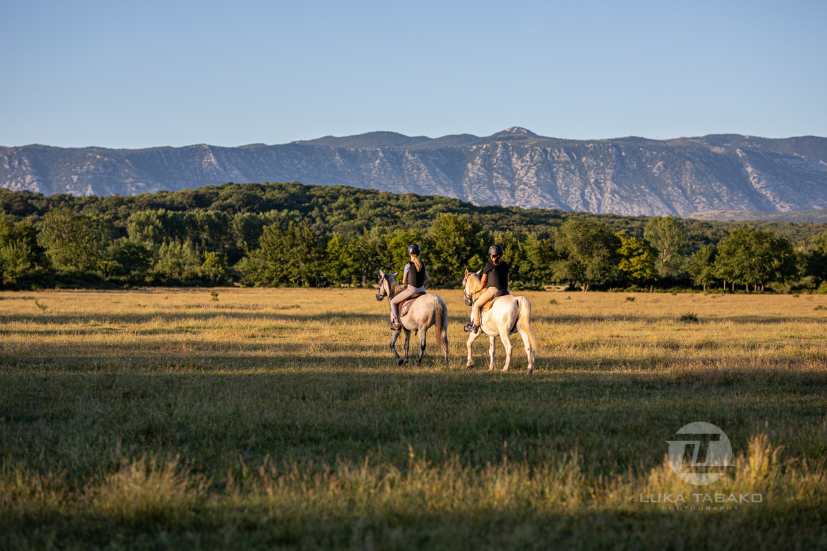 Discover Krk on Horseback – a Magical Riding Experience by the Sea