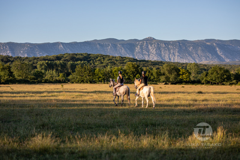 Discover Krk on Horseback – a Magical Riding Experience by the Sea