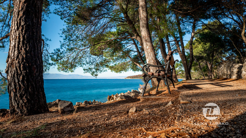 Autumn on Krk Island – the perfect time for peaceful relaxation and authentic experiences